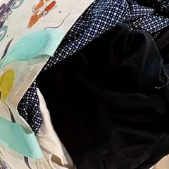 Borsa Draagtas, come riportato da Regio Antwerpen - Brussel utilizzando iLost