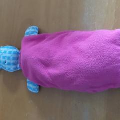 Leksak, rapporterat av Carlton Beach Hotel med iLost