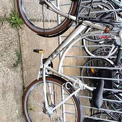 Pánské kolo batavus, jak nahlášeno Stadswerk072 pomocí iLost