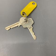 Clau, segons ha informat IKEA Haarlem mitjançant iLost