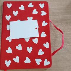 Literatura - Boek, segundo informou Centraal magazijn usando iLost