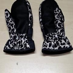 Gloves, as reported by Arriva Oost-Brabant using iLost