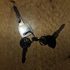 Sleutels, som rapporterats till iLost