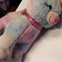 Peluche, come riportato da Qbuzz ZHN utilizzando iLost