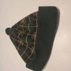 Beanie groen, ako bolo nahlásené TU/e - Receptie Flux pomocou iLost