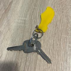 Claus, segons ha informat Gemeente Duiven mitjançant iLost