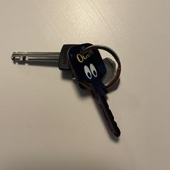 Sleutels, gerapporteerd met iLost