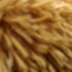 Knuffel, zgłoszono przez De Efteling przy użyciu iLost