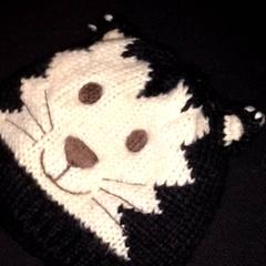 Muts, zoals gemeld door TivoliVredenburg met iLost