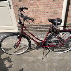 Damesfiets, segons s'ha informat a iLost