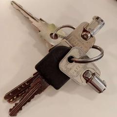 Clauer bos, segons ha informat HU Amersfoort mitjançant iLost