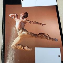 Literatura - Boek dans, jak nahlášeno Centraal magazijn pomocí iLost