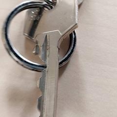 المفاتيح، كما تم الإبلاغ عنه بواسطة Centraal magazijn عبر iLost