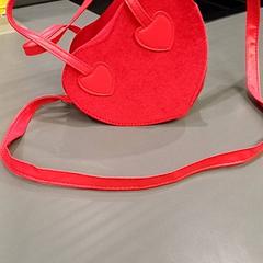 Taška, jak nahlášeno Qbuzz GD Groningen HS pomocí iLost