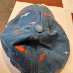 Casquette bleue, as reported by TCL using iLost