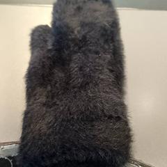 手袋 Zwart がiLostで Qbuzz GD Groningen HS によって報告されました