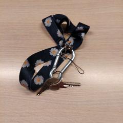 Chiavi, come riportato da Centraal magazijn utilizzando iLost