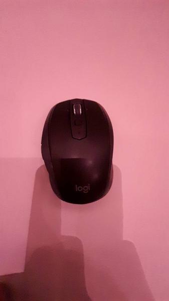 Mouse