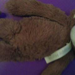 Hračka & Mazlící hračka Bruin, aap, jak nahlášeno Het Spoorwegmuseum pomocí iLost