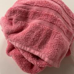 منشفة الشاطئ، كما تم الإبلاغ عنه بواسطة Silver Sands Beach عبر iLost