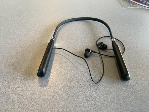 Earphones