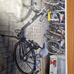 Női kerékpár, amint azt Gemeente Roermond az iLost segítségével jelentette.