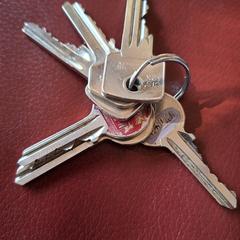 Sleutelbos, ako bolo nahlásené iLost