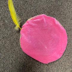 Pietenmuts, iLost를 사용하여 Burgers' Zoo에 보고됨