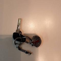 Kľúče od bicykla fietsensleutel, ako bolo nahlásené LUMC pomocou iLost