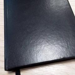 Axenda Zwart, segundo informou Qbuzz Fryslân usando iLost