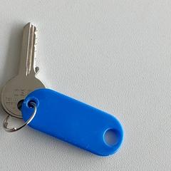 المفاتيح (متنوعة)، كما تم الإبلاغ عنه بواسطة Centraal magazijn عبر iLost