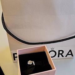 Taška Pandora box, ako bolo nahlásené Vrije Universiteit Amsterdam pomocou iLost