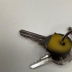 Key, as reported by ilévia using iLost