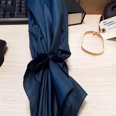 우산 Blauw, iLost를 사용하여 Qbuzz Fryslân에 보고됨