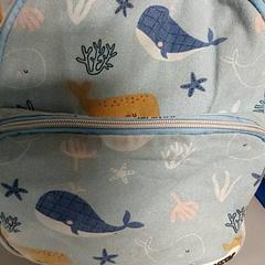 Hátizsák, amint azt Regio Antwerpen - Brussel az iLost segítségével jelentette.