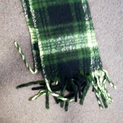 Scialle Groen, come riportato da Burgers' Zoo utilizzando iLost