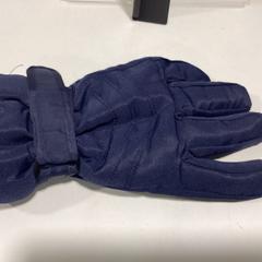 Guanto Blauw - 171125 MUMF, come riportato da Ziggo Dome utilizzando iLost