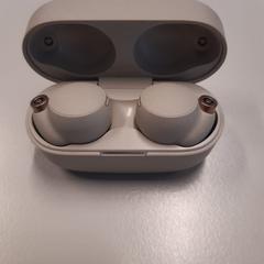 Oordoppen SONY, como reportado por Gemeente Heusden utilizando o iLost