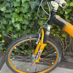 Fiets, segons s'ha informat a iLost