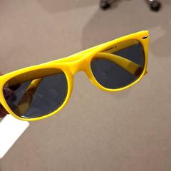 Sonnenbrille, gemeldet von Bibliotheek Neude (Utrecht) über iLost