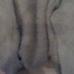 Vestje, amint azt Het Spoorwegmuseum az iLost segítségével jelentette.