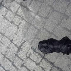 Skládací deštník, jak nahlášeno Relais Azalys pomocí iLost