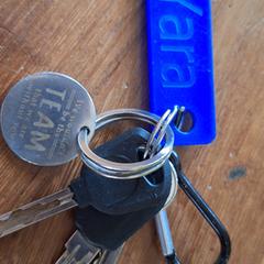 Sleutelbos met blauw label, som rapporterats till iLost