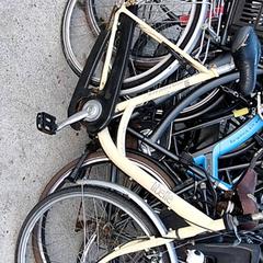 Dámské kolo batavus, jak nahlášeno Stadswerk072 pomocí iLost