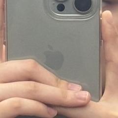 iphone 15 promax, as reported to iLost