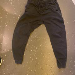 السراويل DARK GREY، كما تم الإبلاغ عنه بواسطة Room Mate Bruno عبر iLost