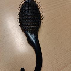 Hairbrush, segons ha informat The Dominican mitjançant iLost