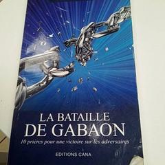 Książka, zgłoszono przez ilévia przy użyciu iLost