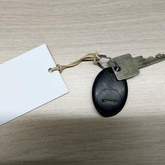 Kľúč, ako bolo nahlásené Regio Limburg - Leuven pomocou iLost