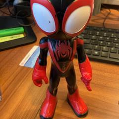 Popje Roos zwart, zoals gemeld door Pathé Rembrandt Utrecht met iLost